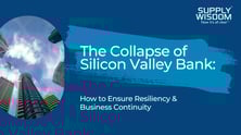 The Collapse of Silicon Valley Bank
